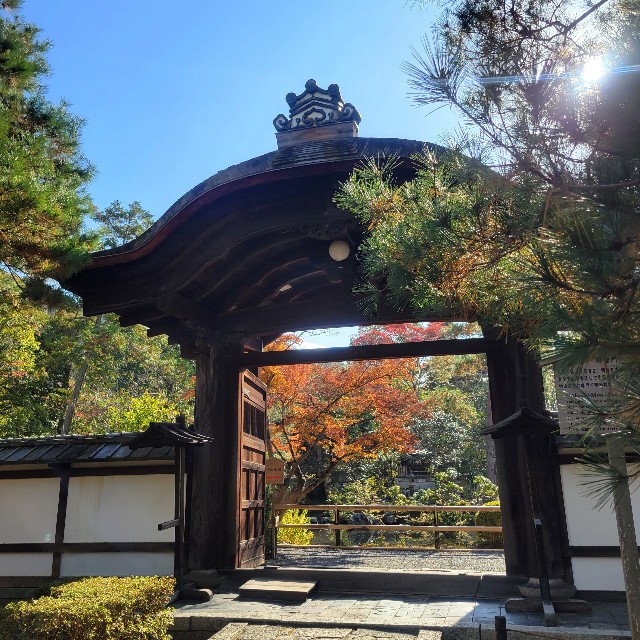 f:id:atoriatoriatori:20250102195636j:image