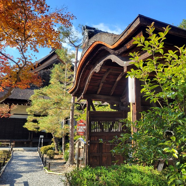 f:id:atoriatoriatori:20250103083936j:image
