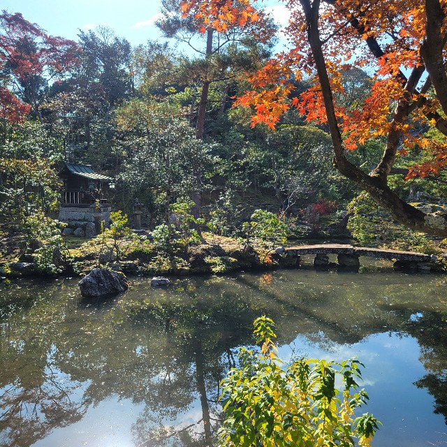 f:id:atoriatoriatori:20250103084012j:image