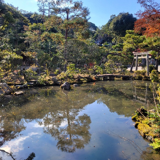 f:id:atoriatoriatori:20250103093322j:image