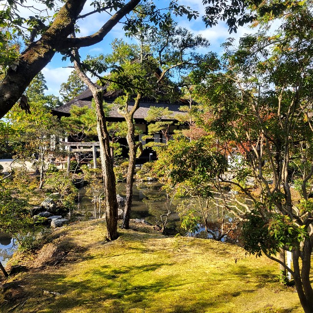f:id:atoriatoriatori:20250103093350j:image