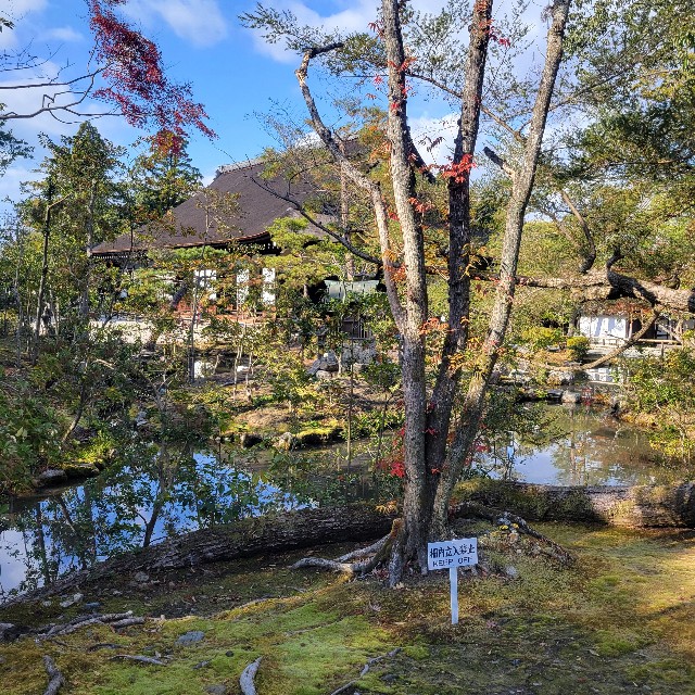f:id:atoriatoriatori:20250103093609j:image