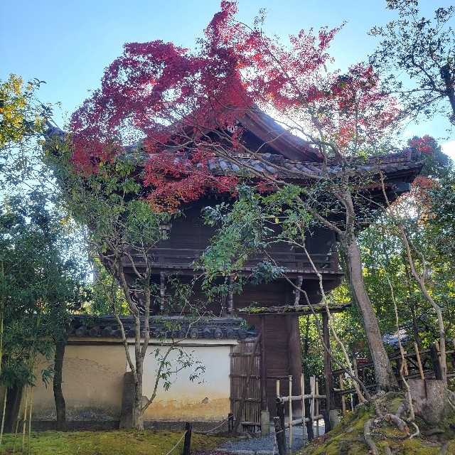 f:id:atoriatoriatori:20250103093621j:image