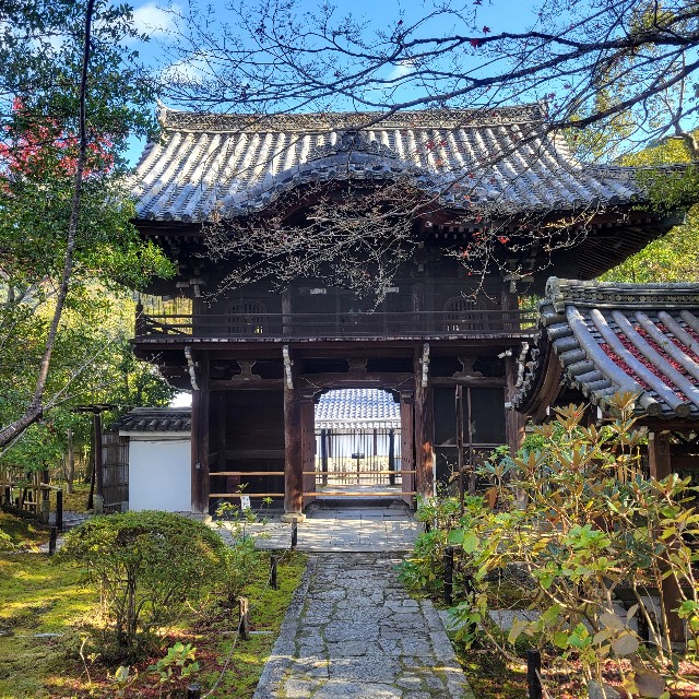 f:id:atoriatoriatori:20250103100242j:image