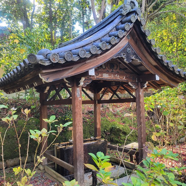 f:id:atoriatoriatori:20250103100305j:image
