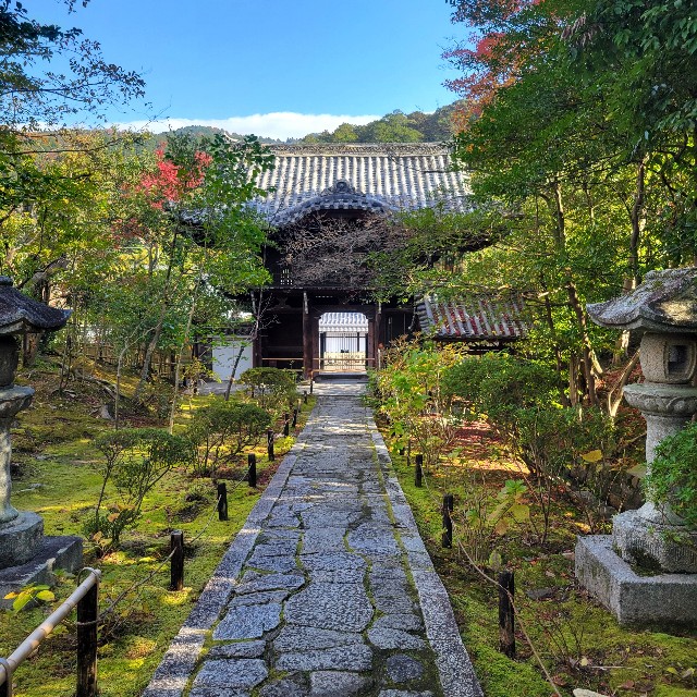 f:id:atoriatoriatori:20250103100313j:image