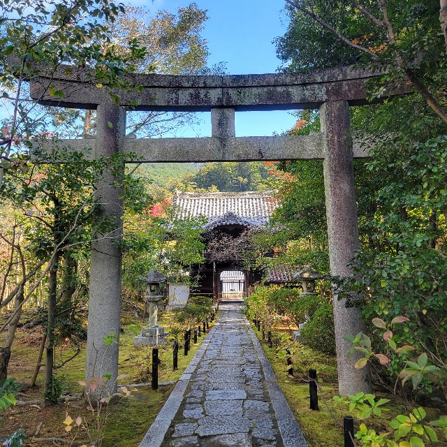 f:id:atoriatoriatori:20250103100321j:image