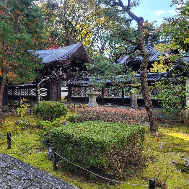 f:id:atoriatoriatori:20250103100815j:image