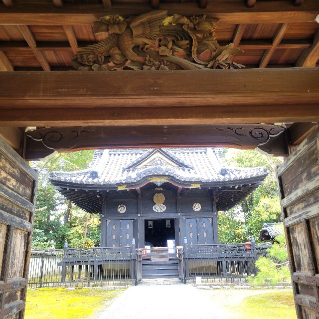 f:id:atoriatoriatori:20250103100843j:image