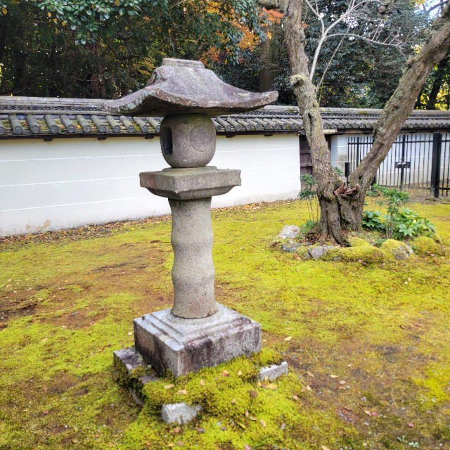 f:id:atoriatoriatori:20250103100907j:image