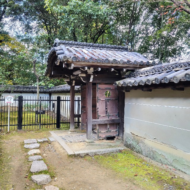f:id:atoriatoriatori:20250103100914j:image