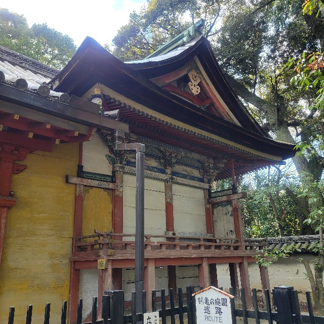 f:id:atoriatoriatori:20250103101947j:image