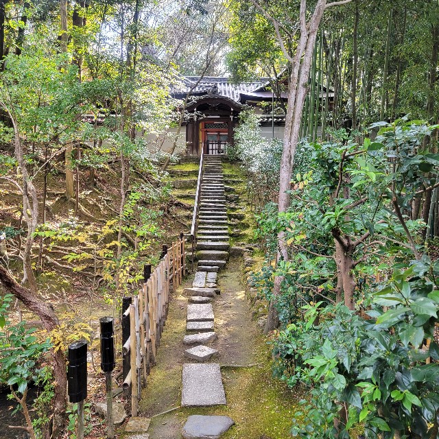 f:id:atoriatoriatori:20250103102207j:image