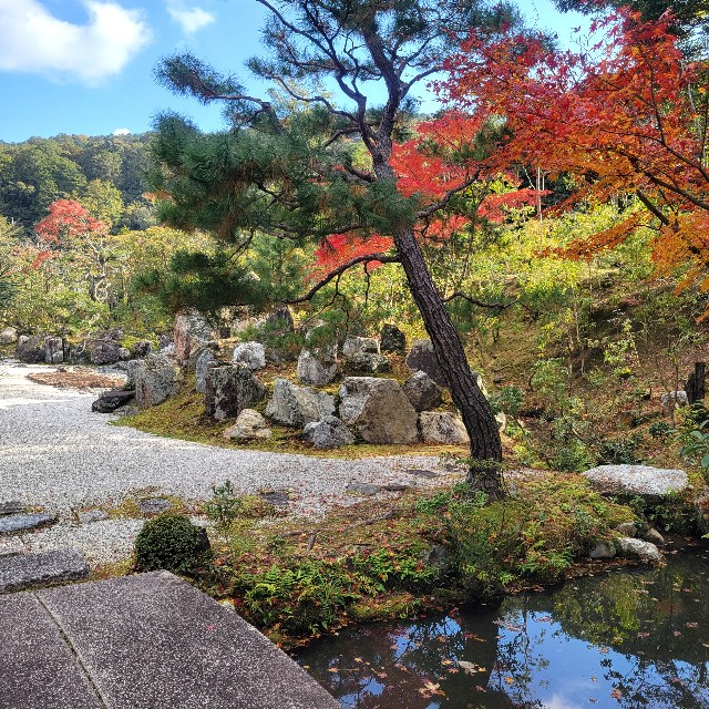 f:id:atoriatoriatori:20250103102242j:image