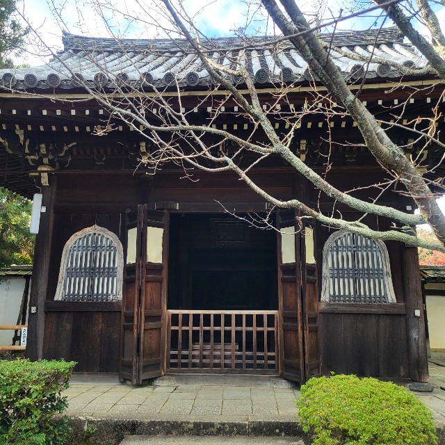 f:id:atoriatoriatori:20250103102304j:image
