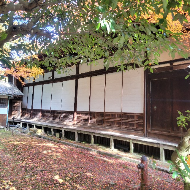 f:id:atoriatoriatori:20250103105907j:image