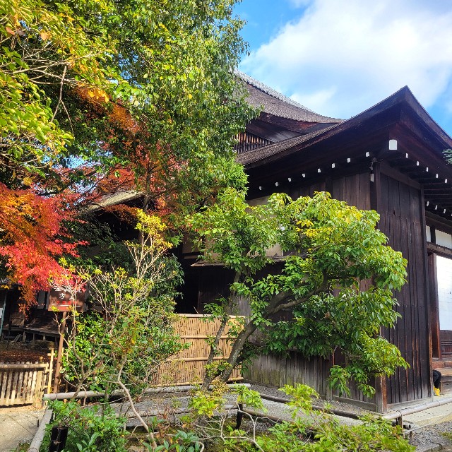 f:id:atoriatoriatori:20250103105918j:image