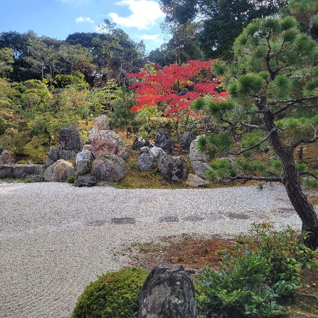 f:id:atoriatoriatori:20250103110209j:image