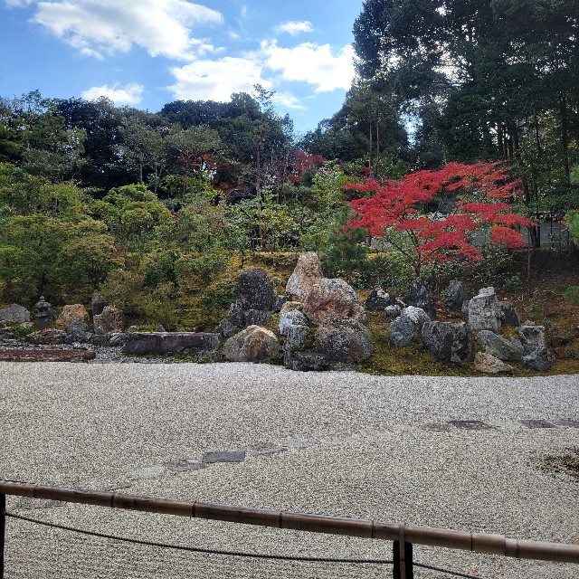 f:id:atoriatoriatori:20250103110217j:image