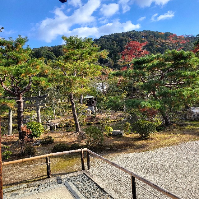 f:id:atoriatoriatori:20250103122603j:image