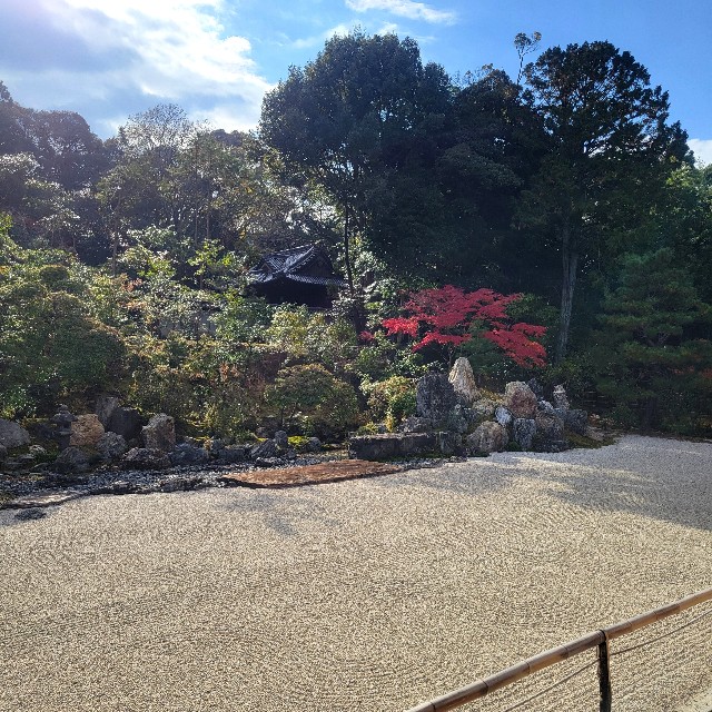 f:id:atoriatoriatori:20250103122637j:image