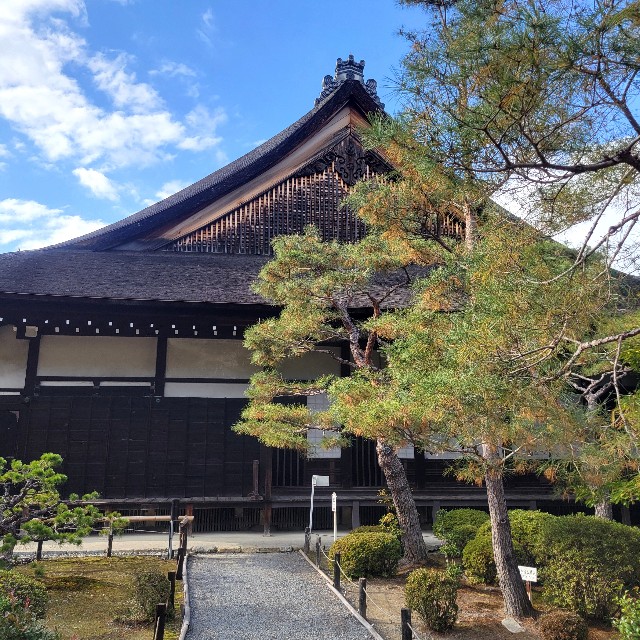 f:id:atoriatoriatori:20250103122840j:image