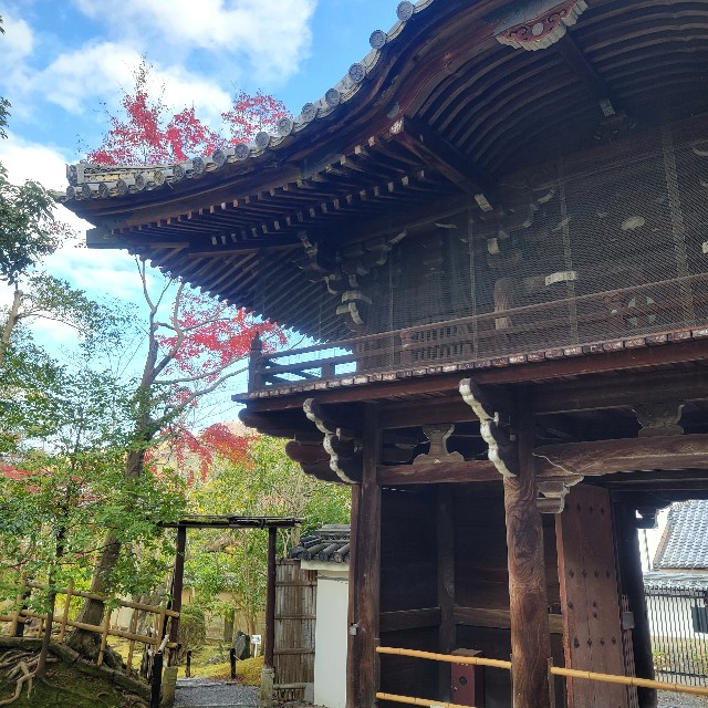 f:id:atoriatoriatori:20250103134927j:image