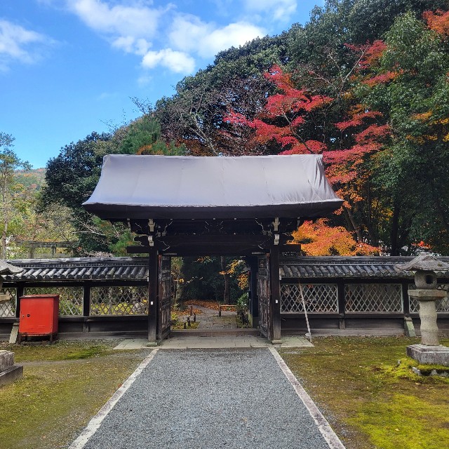 f:id:atoriatoriatori:20250103135402j:image