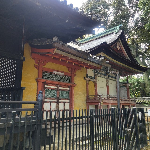 f:id:atoriatoriatori:20250103142448j:image