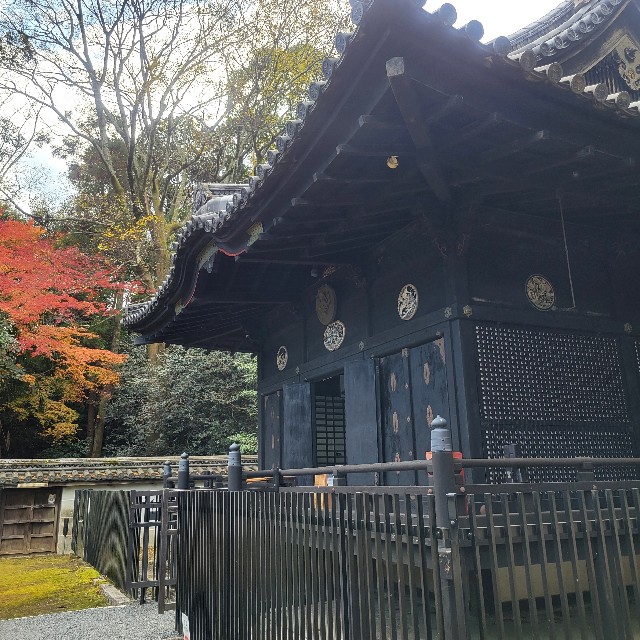 f:id:atoriatoriatori:20250103142510j:image