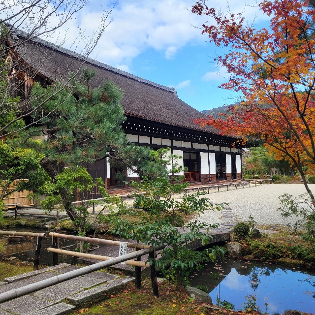f:id:atoriatoriatori:20250103143005j:image