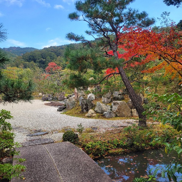 f:id:atoriatoriatori:20250103143018j:image