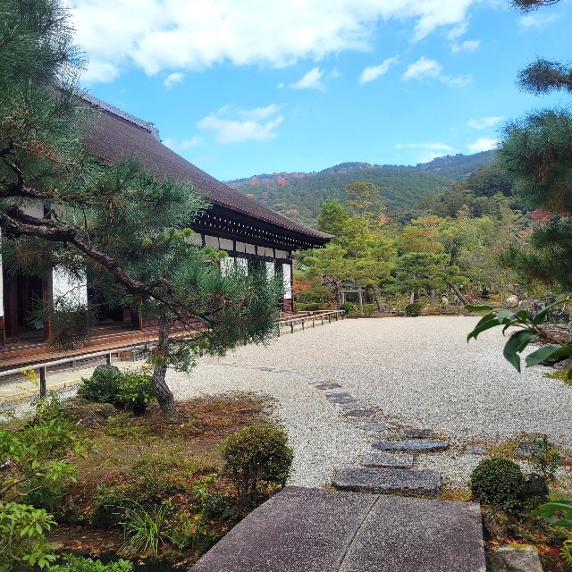f:id:atoriatoriatori:20250103143038j:image