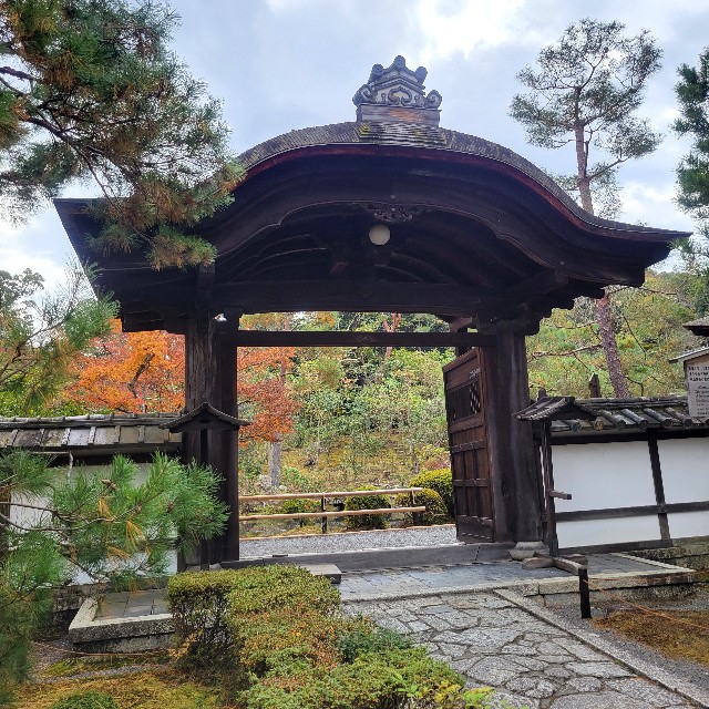f:id:atoriatoriatori:20250103143559j:image