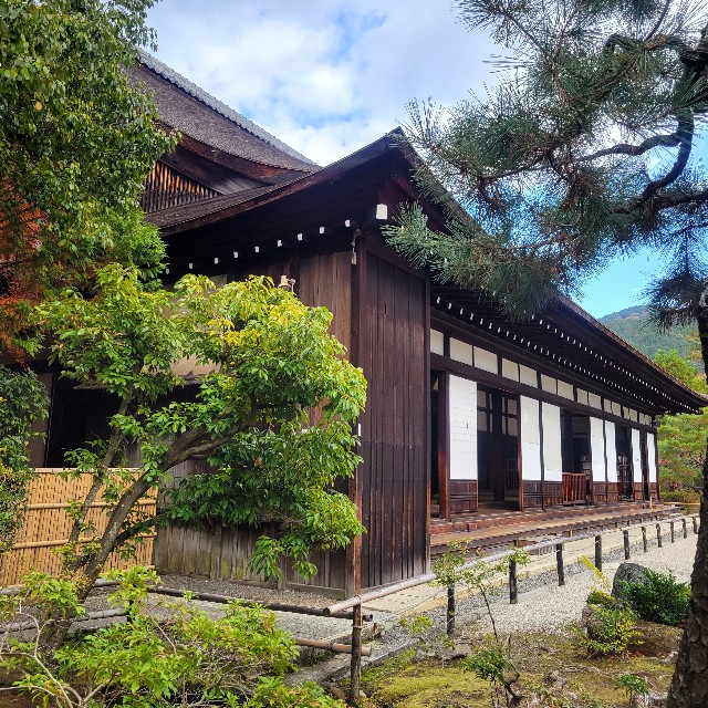 f:id:atoriatoriatori:20250103143649j:image