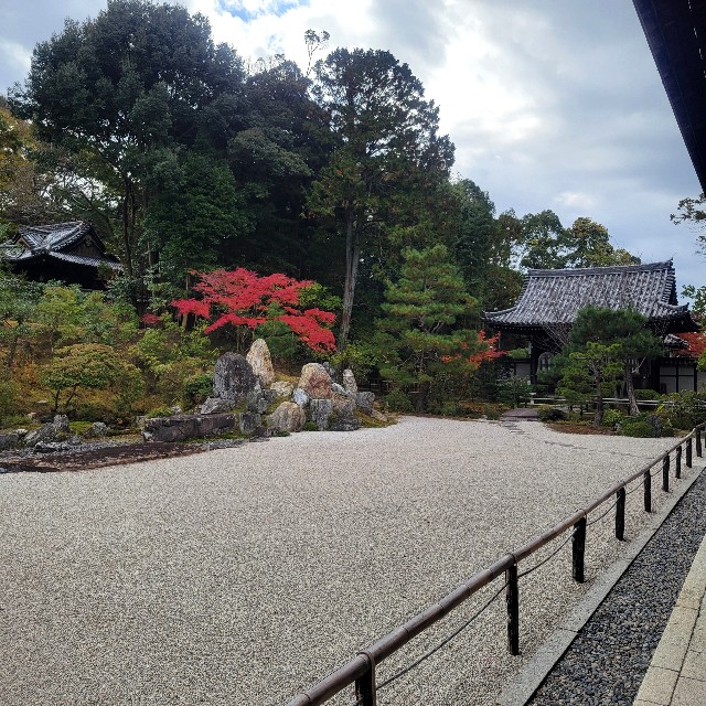 f:id:atoriatoriatori:20250103153432j:image