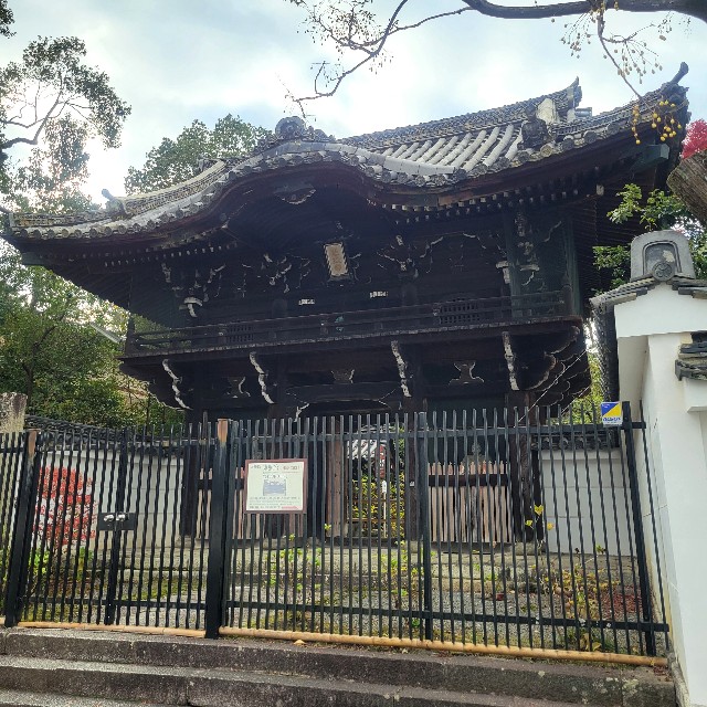 f:id:atoriatoriatori:20250103165657j:image