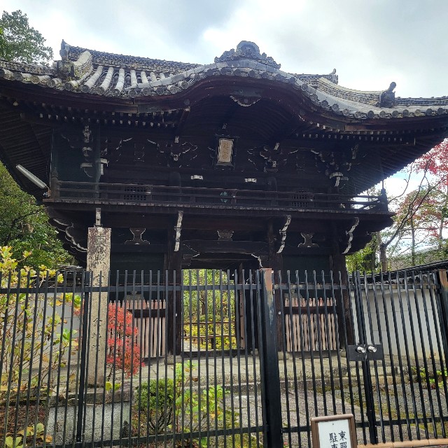 f:id:atoriatoriatori:20250103165706j:image