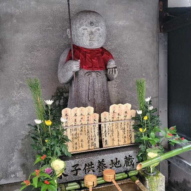 f:id:atoriatoriatori:20250112193608j:image f:id:atoriatoriatori:20250112193608j:image