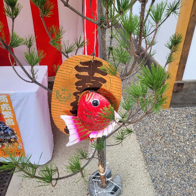 f:id:atoriatoriatori:20250114093842j:image f:id:atoriatoriatori:20250114093842j:image