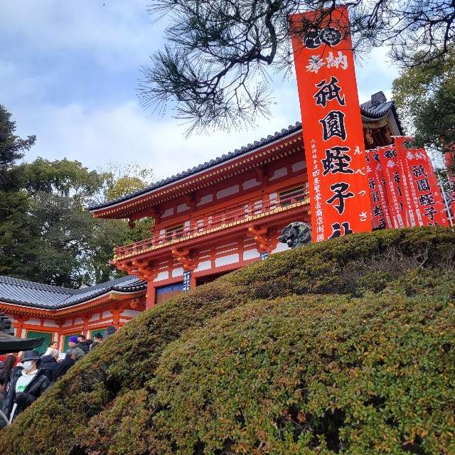 f:id:atoriatoriatori:20250114144523j:image f:id:atoriatoriatori:20250114144523j:image