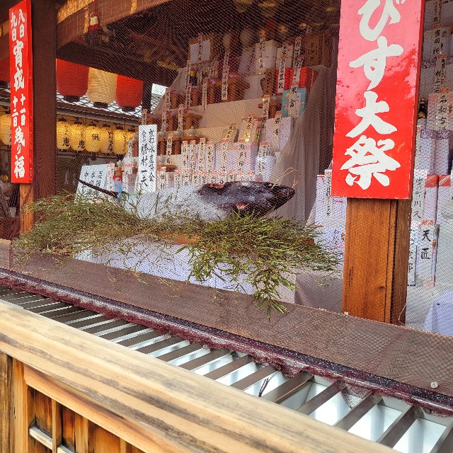 f:id:atoriatoriatori:20250115101148j:image