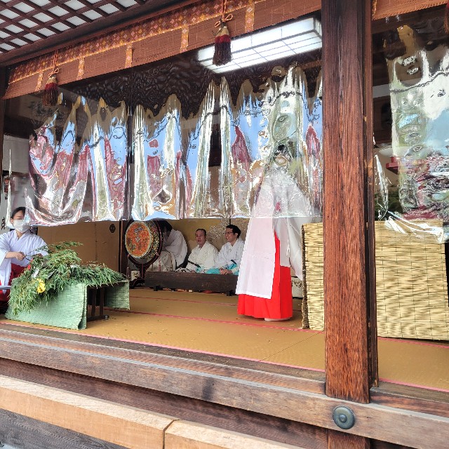 f:id:atoriatoriatori:20250115112220j:image