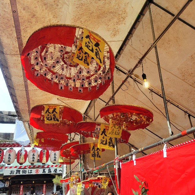 f:id:atoriatoriatori:20250115133144j:image