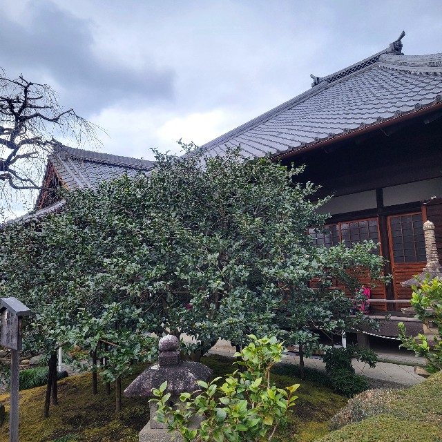 f:id:atoriatoriatori:20250119104708j:image