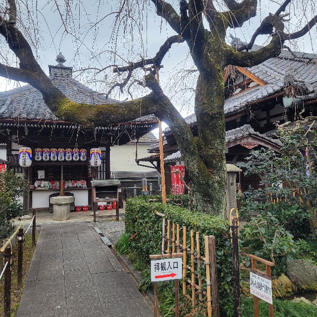 f:id:atoriatoriatori:20250119222952j:image