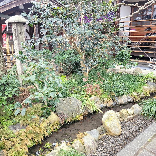 f:id:atoriatoriatori:20250119223001j:image