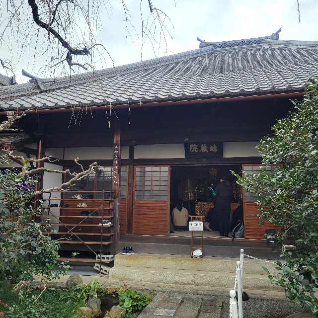 f:id:atoriatoriatori:20250119223247j:image