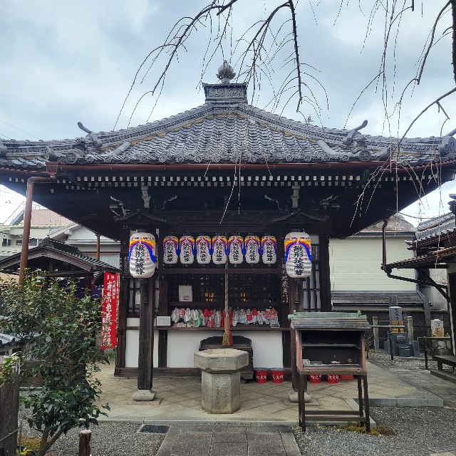 f:id:atoriatoriatori:20250120093729j:image