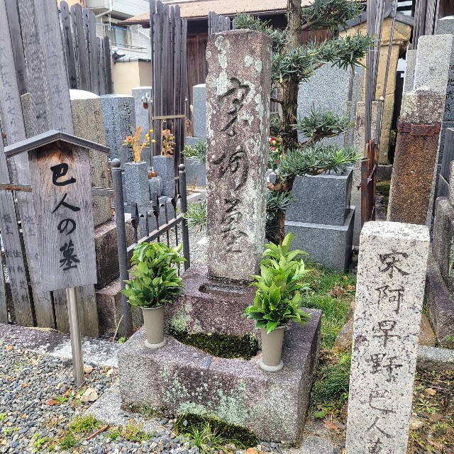 f:id:atoriatoriatori:20250120121410j:image